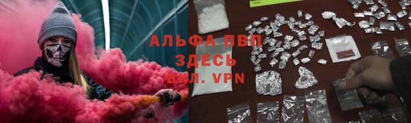 ПСИЛОЦИБИНОВЫЕ ГРИБЫ Бородино