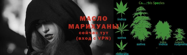 МДПВ Волоколамск
